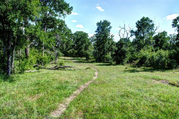 Grimes County Ranch: FM 3090 & CR 306, Anderson, TX 77830